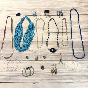 Blue and Silver Tone Jewelry Lot of 22 Necklaces Earrings Bracelets Brooch Pin